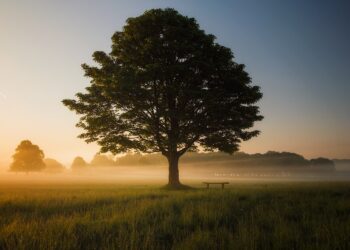   God’s Pruning